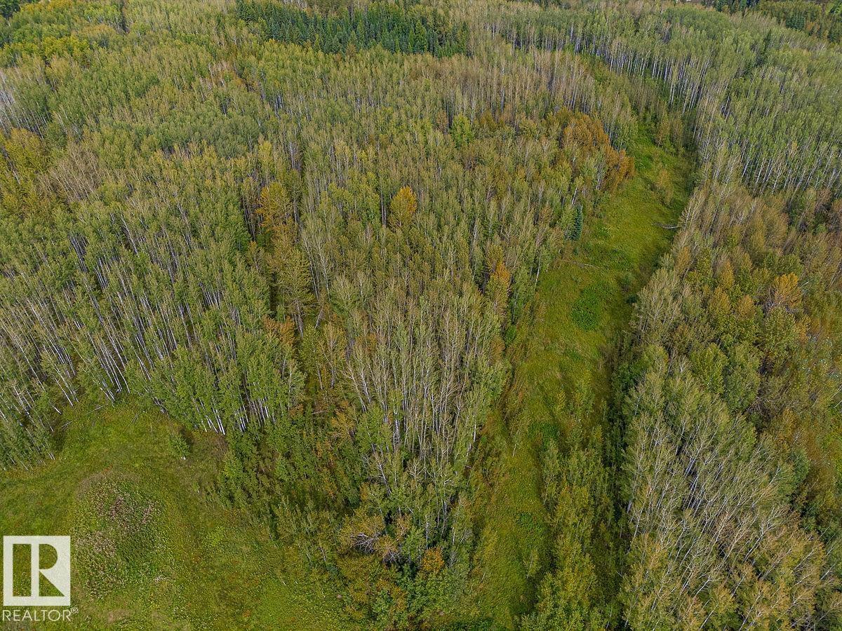 SW-29-49-5-W5, Rural Brazeau County — photo 23