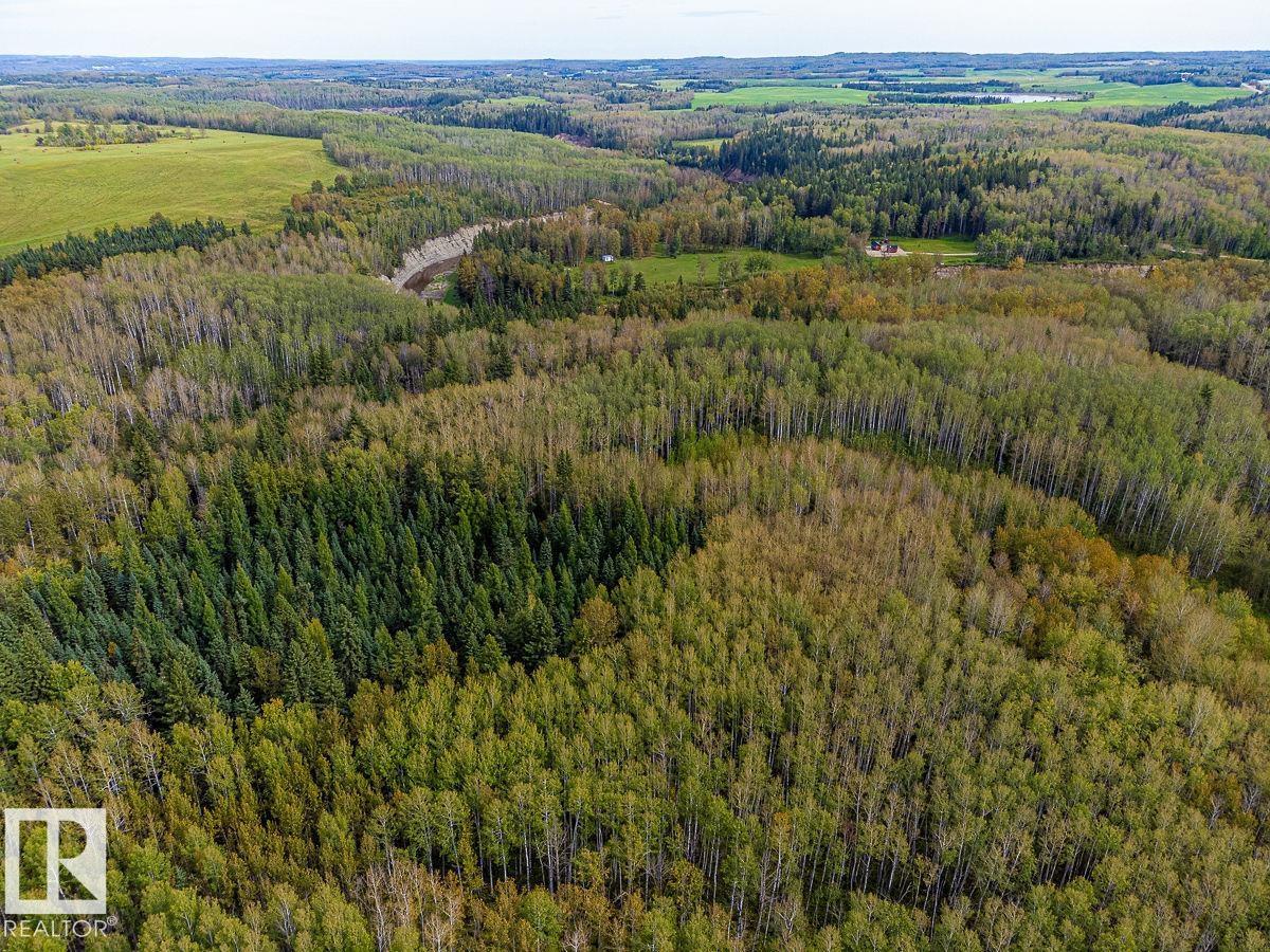 SW-29-49-5-W5, Rural Brazeau County — photo 25
