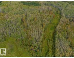 Sw-29-49-5-w5, Rural Brazeau County, AB T0C1W0 Photo 23