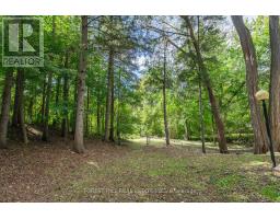 38 Riverside Boulevard, Vaughan, ON L4J1H3 Photo 29