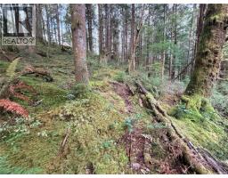 Lot 42 Sonora Island, Sonora Island, BC V0P1W0 Photo 6