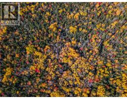 Lot 25-5 Buckley Settlement Road, photo 5