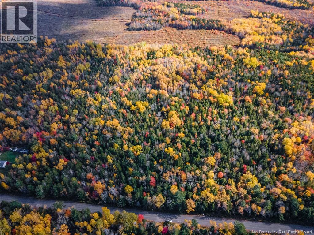 Lot 25-3 Buckley Settlement Road photo 4