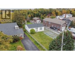 22 Kennedys Road, Conception Bay South, NL A1X4C1 Photo 32