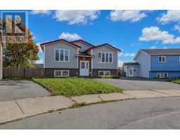 111 Codroy Place thumbnail 2