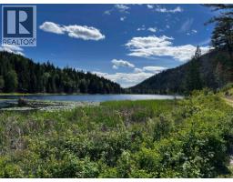 1360 Harper Lake Road, Kamloops, BC V0E2P0 Photo 7