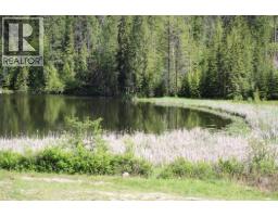 1360 Harper Lake Road, Kamloops, BC V0E2P0 Photo 8
