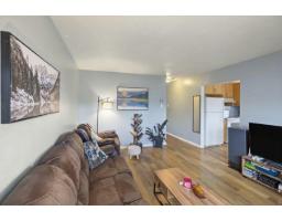 51 Rue Smith, Gatineau, QC J8T2Z9 Photo 40
