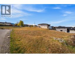 502 Merlot Avenue, Oliver, BC V0H1T4 Photo 13