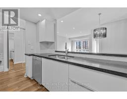 509 - 430 Pearl Street, Burlington, ON L7R4J8 Photo 8