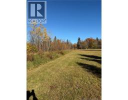 215 Rue Robichaud, Cap Pele, NB E4N1Y5 Photo 8
