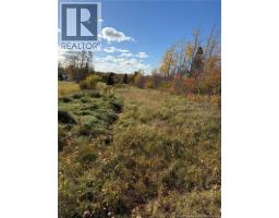 215 Rue Robichaud, Cap Pele, NB E4N1Y5 Photo 13