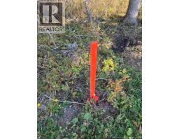 215 Rue Robichaud, Cap Pele, NB E4N1Y5 Photo 19