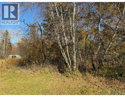 215 Rue Robichaud, Cap Pele, NB E4N1Y5 Photo 15