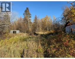 215 Rue Robichaud, Cap Pele, NB E4N1Y5 Photo 16