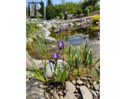 263035 16 Street W, De Winton, AB T1S3M4 Photo 29