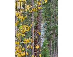2116 Panorama Drive Unit# 203, Panorama, BC V0A1T0 Photo 32