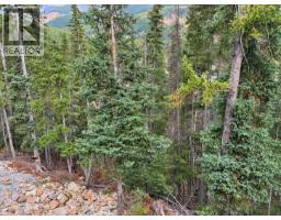 2116 Panorama Drive Unit# 203, Panorama, BC V0A1T0 Photo 33