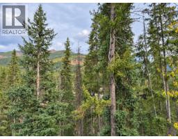 2116 Panorama Drive Unit# 203, Panorama, BC V0A1T0 Photo 35