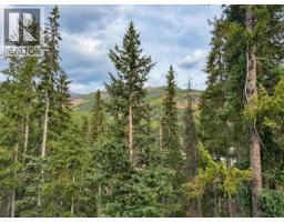 2116 Panorama Drive Unit# 203, Panorama, BC V0A1T0 Photo 28