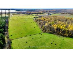 1314 Concession 9 Road N, Ramara, ON L0K1B0 Photo 36