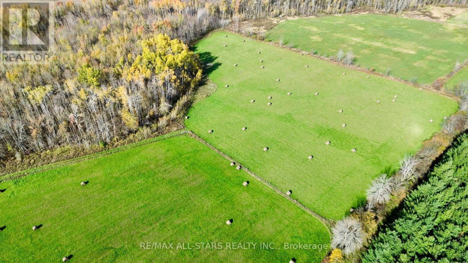 1314 Concession 9 Road North, Ramara, ON photo 37
