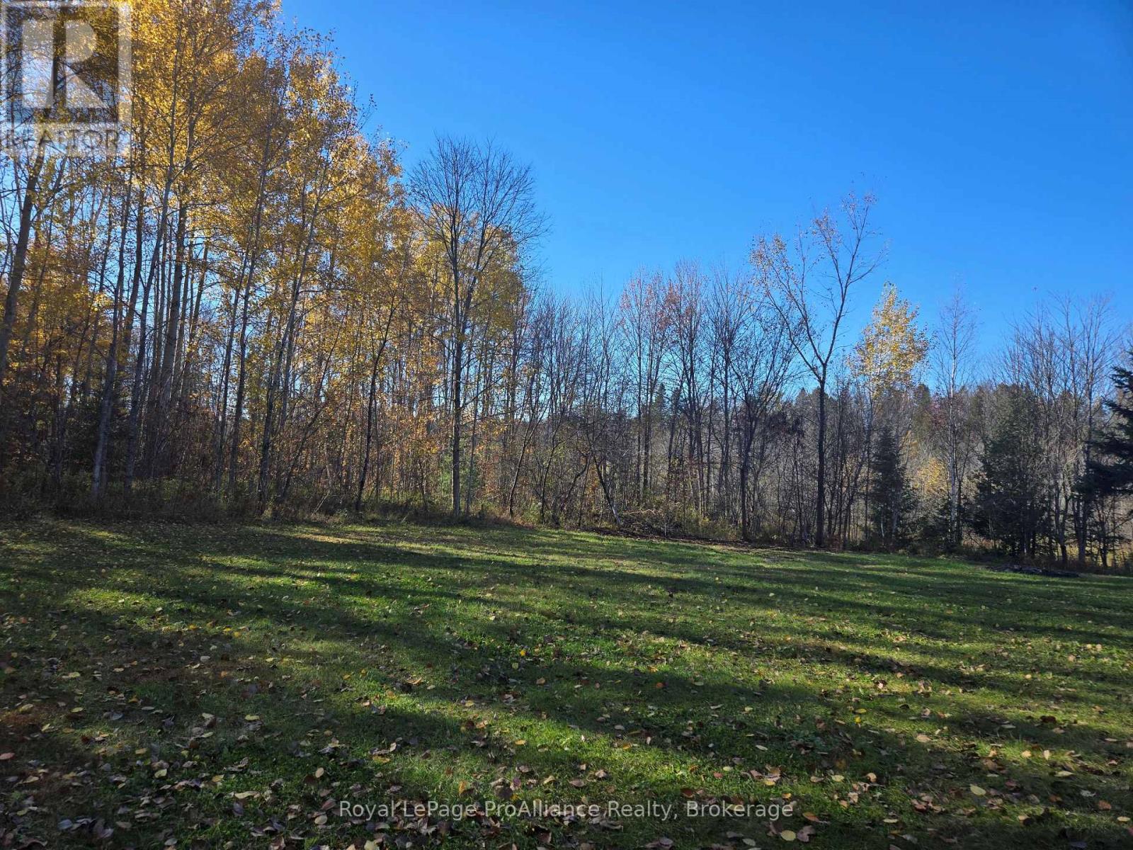 1394 Bordenwood photo 4