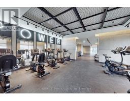313 - 251 Manitoba Street, Toronto, ON M8Y4G9 Photo 48