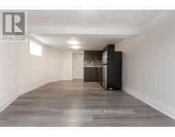 Lower - 1498 King Street W, Toronto, ON M6K1J3 Photo 11