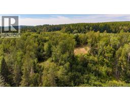 Clearing and pond shown. Picture taken August 2026.