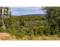 View of the valley from the clearing. Picture taken August 2026.