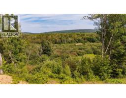 View of the valley from the clearing. Picture taken August 2026.