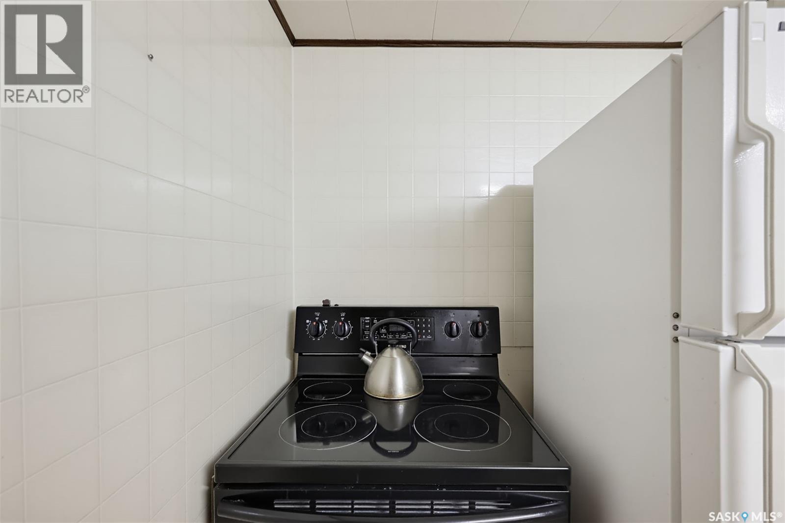 213 MAIN STREET, Young — photo 13