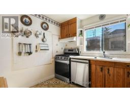 Laundry room - 1012 Panet Street, Ottawa, ON K1Z6E9 Photo 10