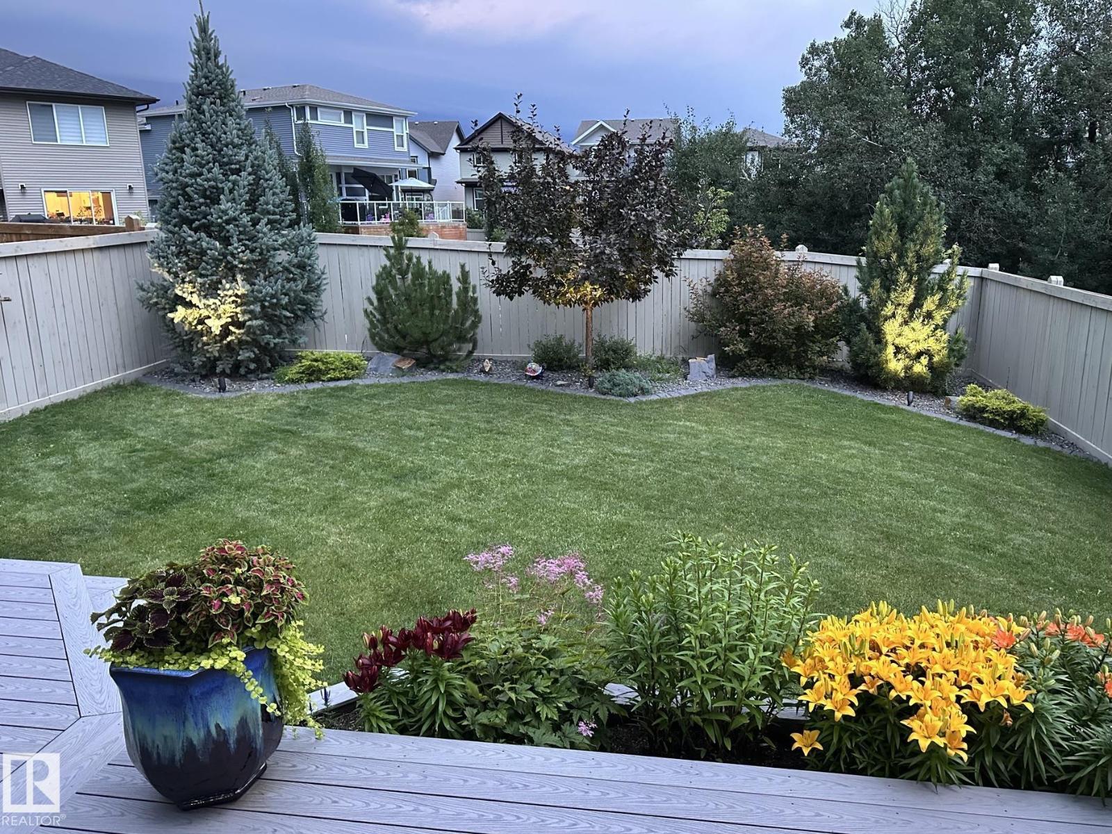 Photo 53