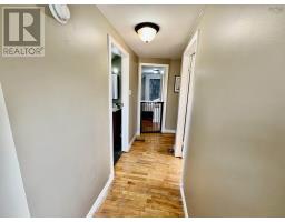 2133 Spring Garden Road, Westville, NS B0K2A0 Photo 22
