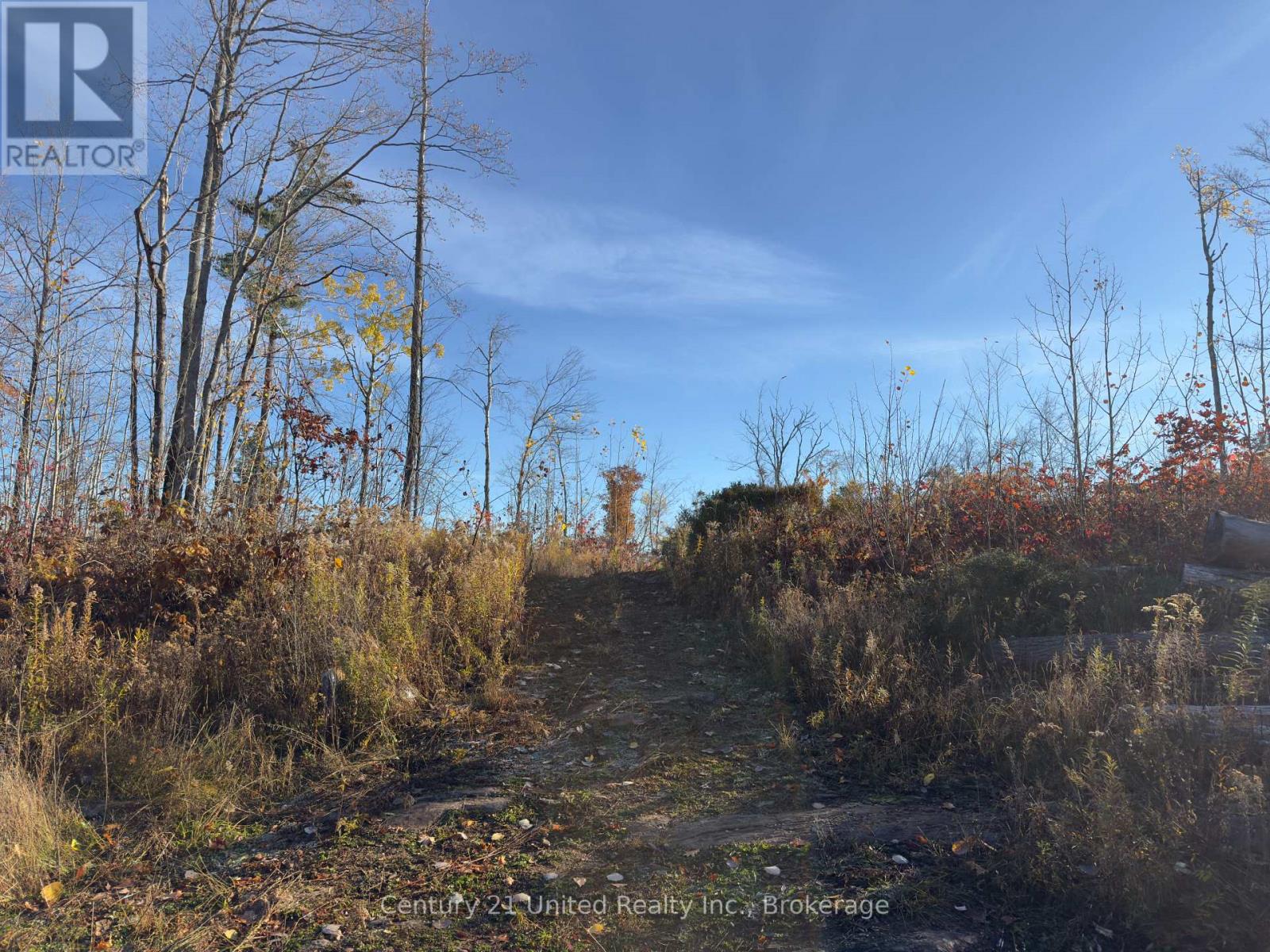 3337 County Rd 46, Havelock-Belmont-Methuen, ON photo 15