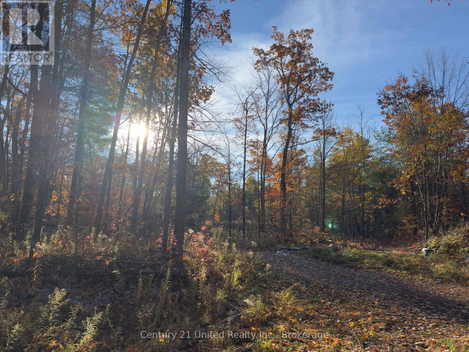 3337 County Rd 46, Havelock-Belmont-Methuen, ON photo 10