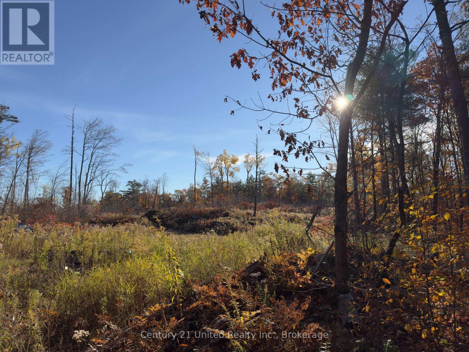 3337 County Rd 46, Havelock-Belmont-Methuen, ON photo 12