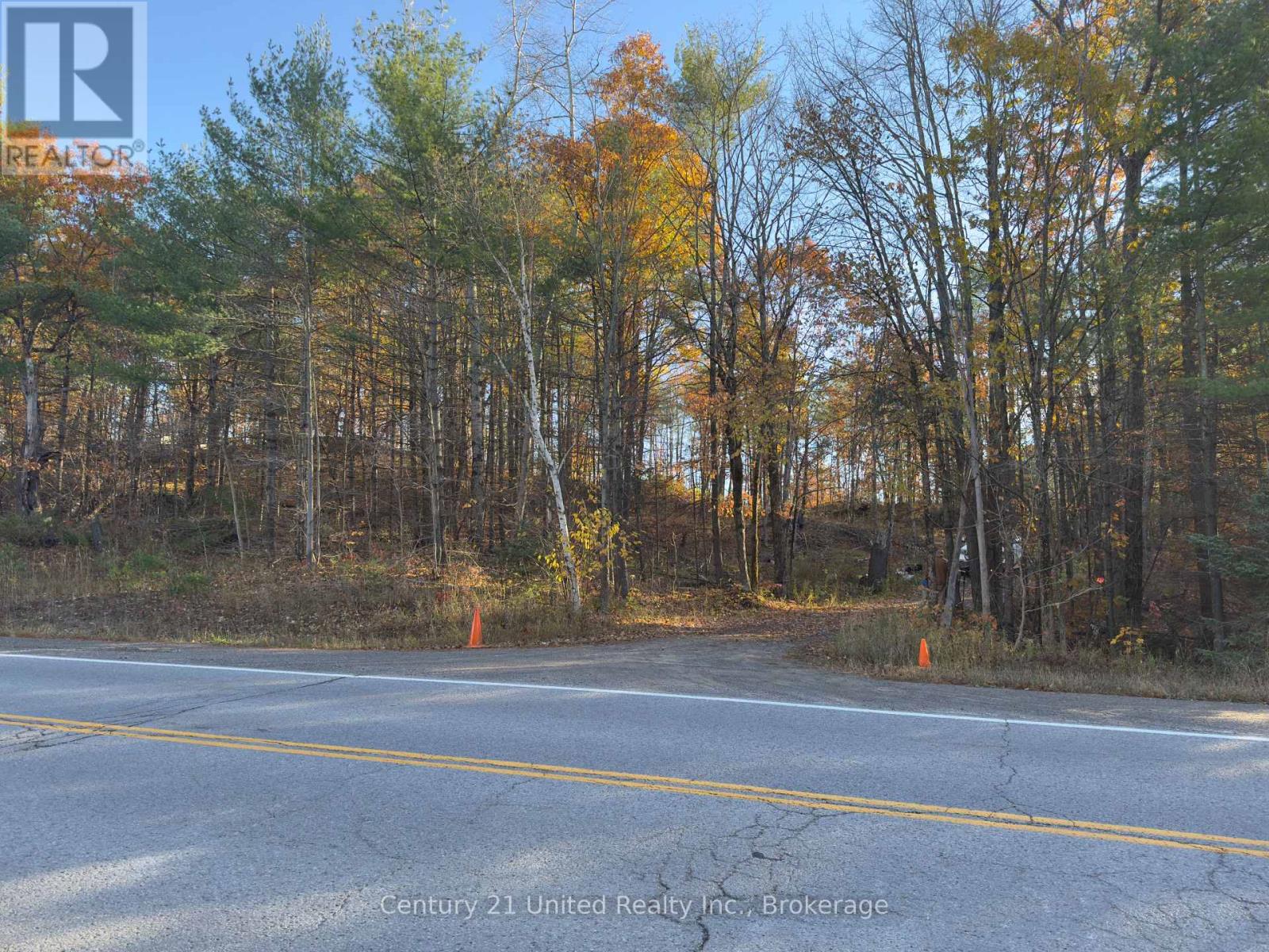 3337 County Rd 46, Havelock-Belmont-Methuen, ON photo 1