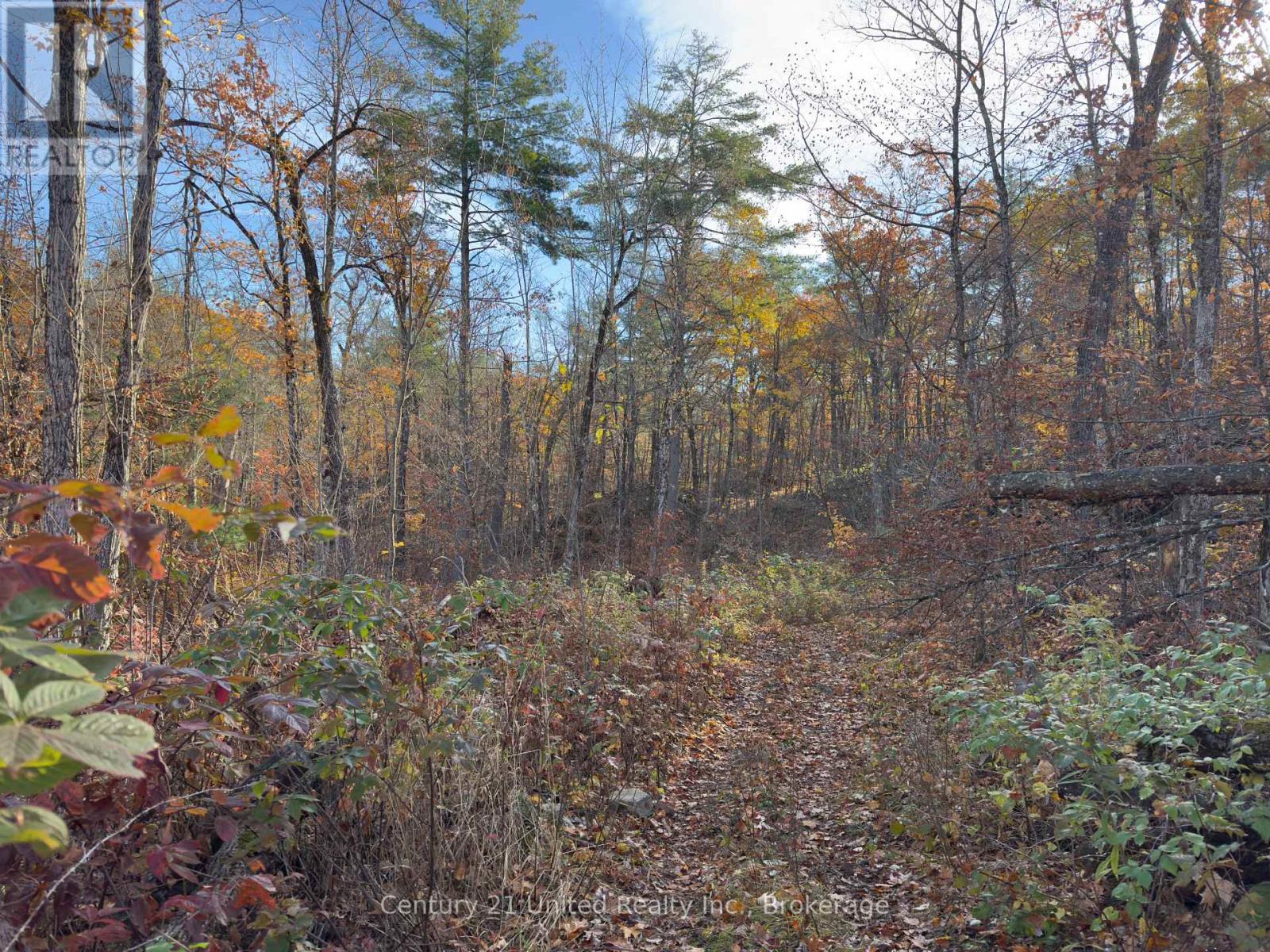 3337 County Rd 46, Havelock-Belmont-Methuen, ON photo 19