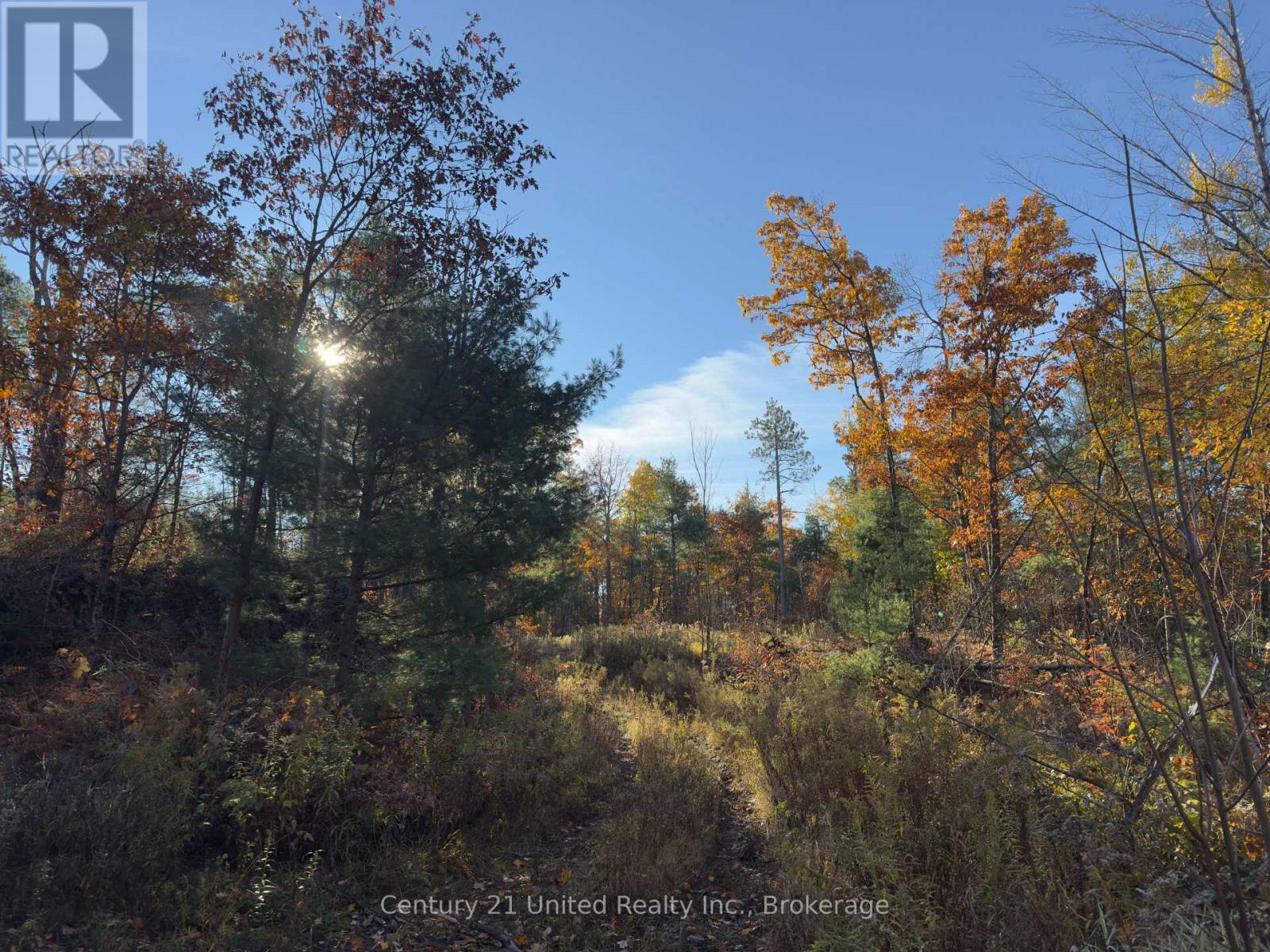 3337 County Rd 46, Havelock-Belmont-Methuen, ON photo 13