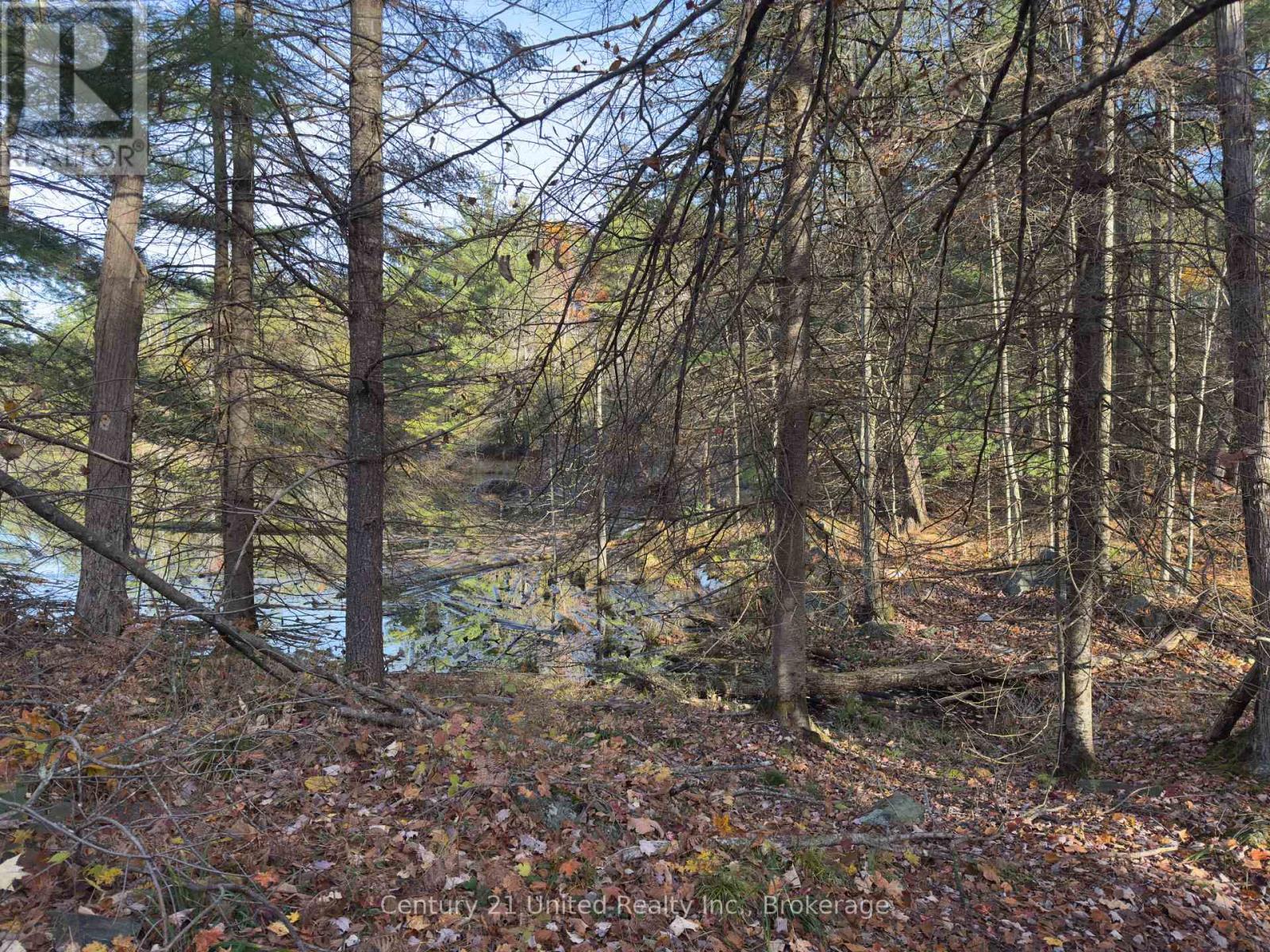 3337 County Rd 46, Havelock-Belmont-Methuen, ON photo 22