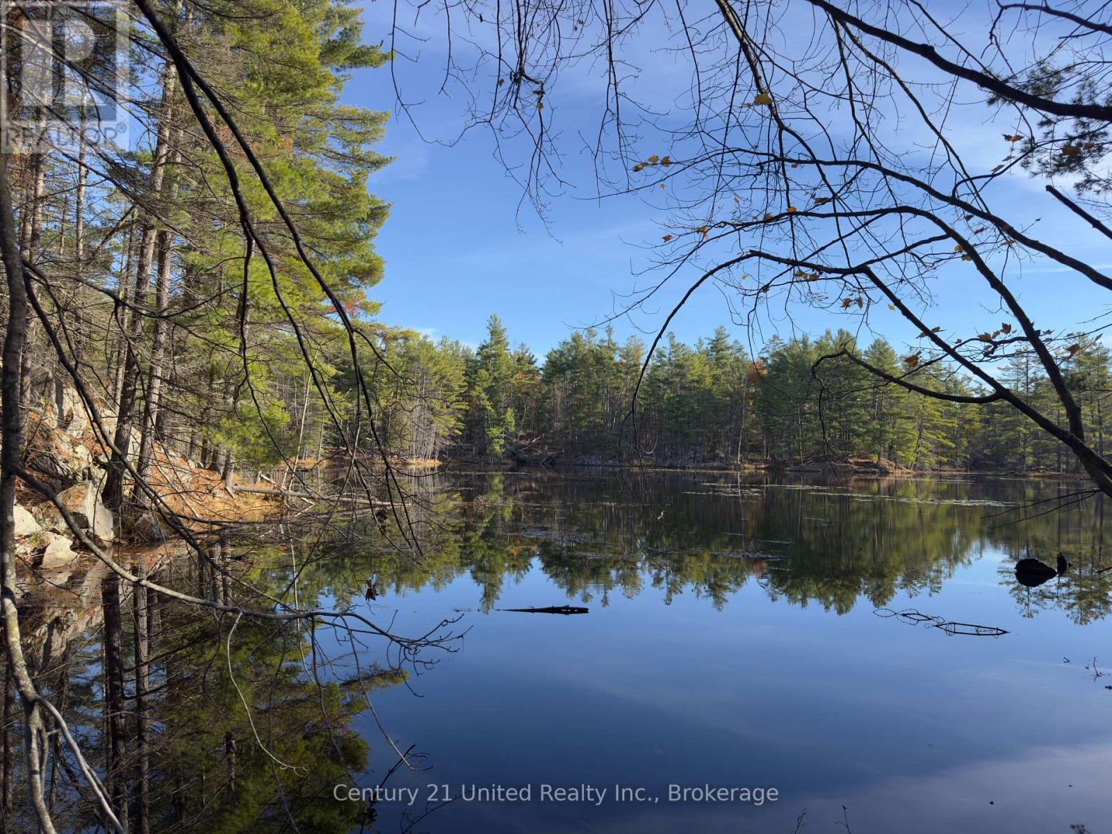3337 County Rd 46, Havelock-Belmont-Methuen, ON photo 31