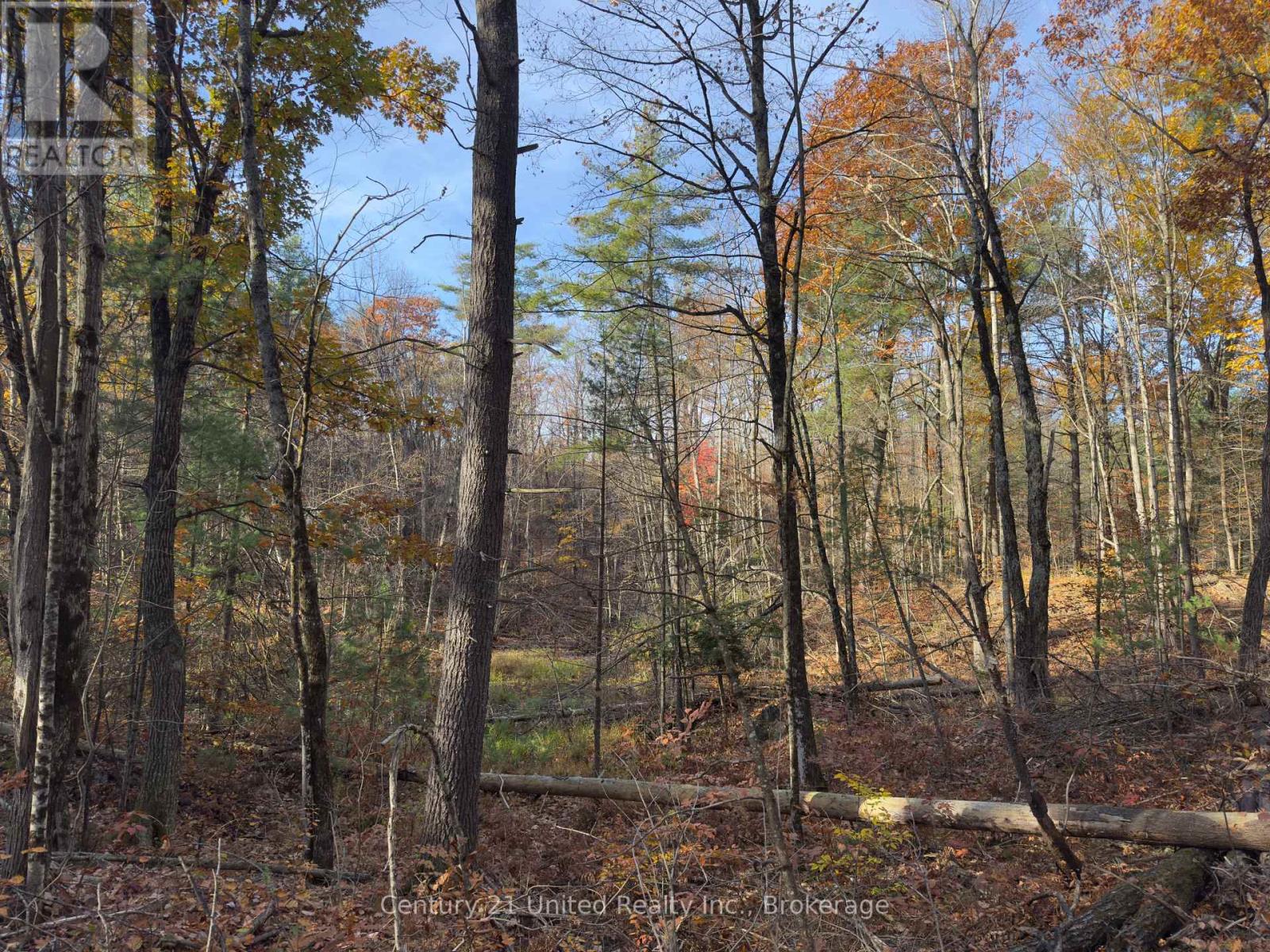 3337 County Rd 46, Havelock-Belmont-Methuen, ON photo 28
