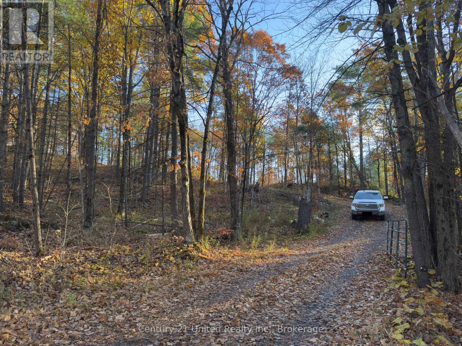 3337 County Rd 46, Havelock-Belmont-Methuen, ON photo 4