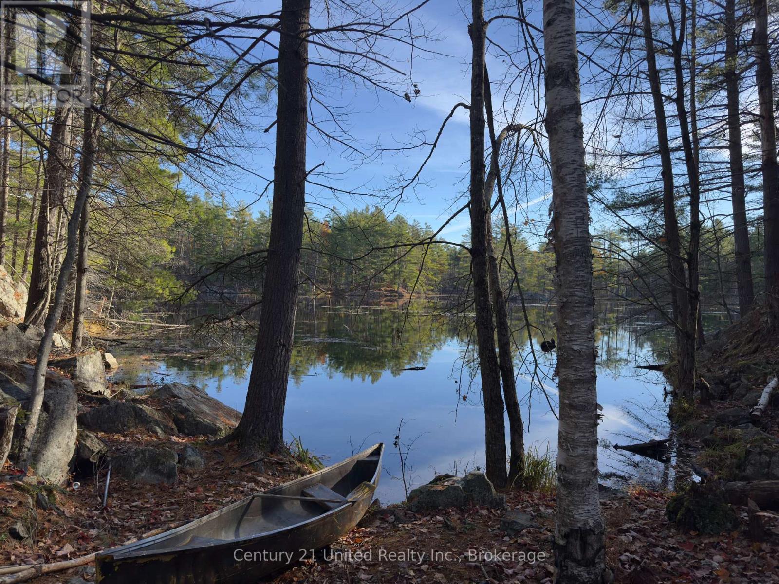 3337 County Rd 46, Havelock-Belmont-Methuen, ON photo 29