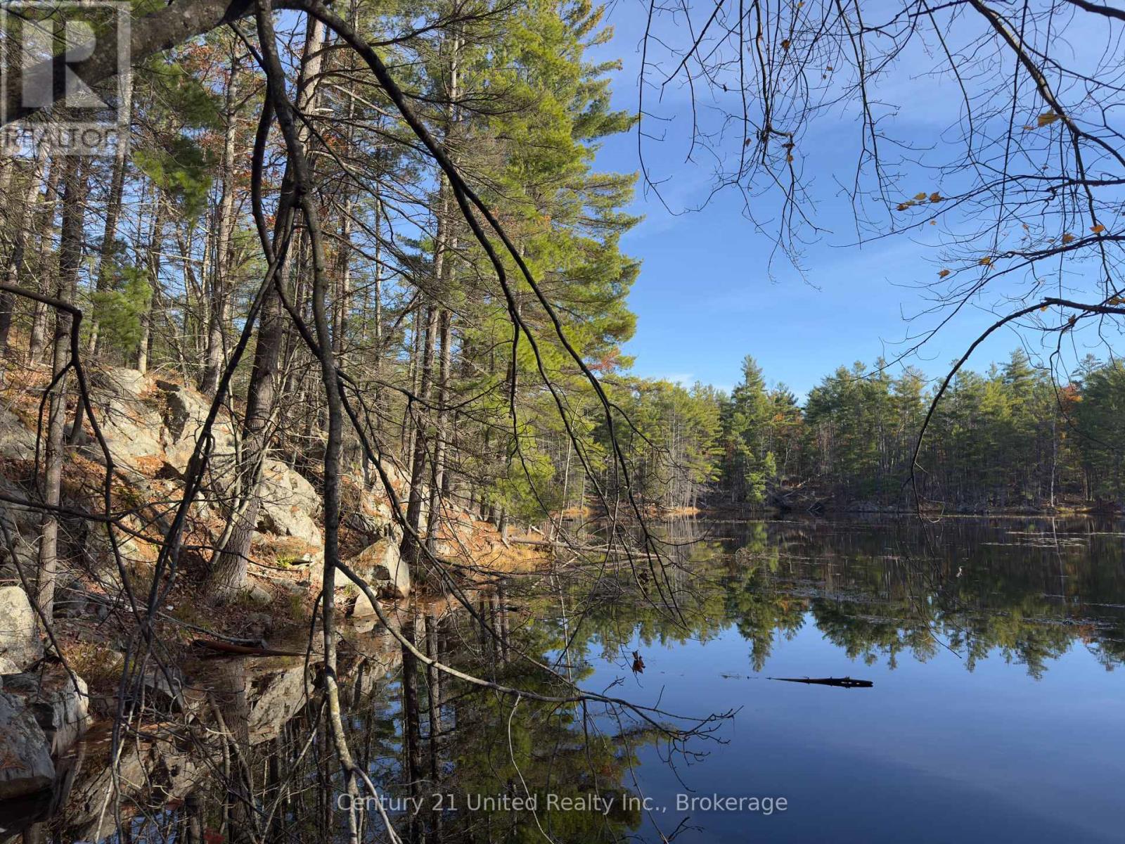 3337 County Rd 46, Havelock-Belmont-Methuen, ON photo 32