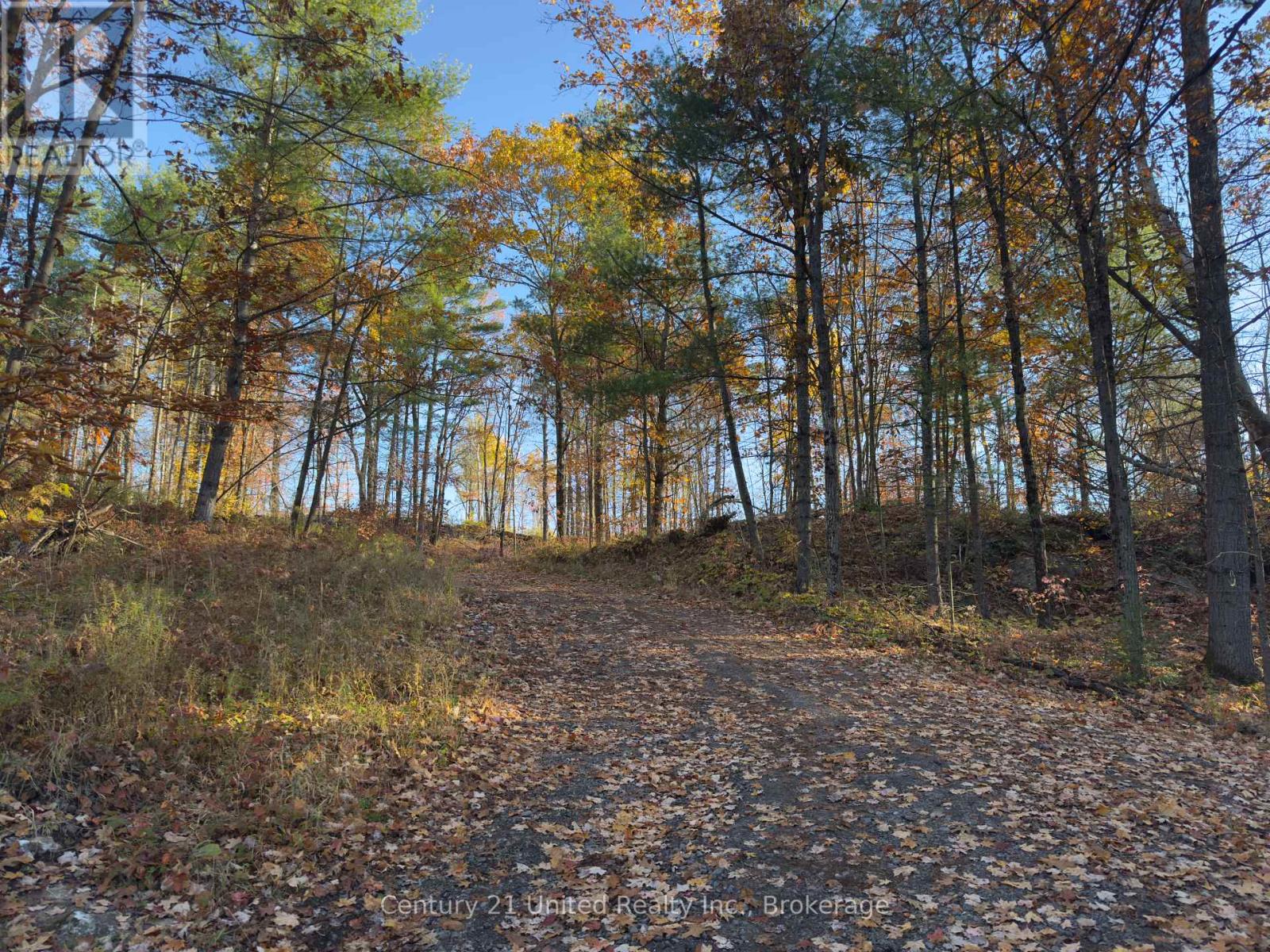 3337 County Rd 46, Havelock-Belmont-Methuen, ON photo 6