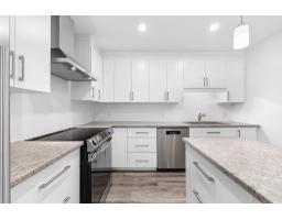 Other - 210 Rue Alexandre-rodrigue, Gatineau, QC J8L0E2 Photo 8